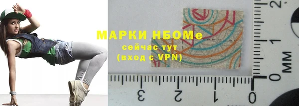 прущий лед Алзамай