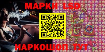 индика Бийск