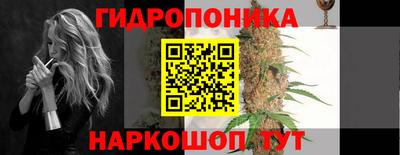 индика Бийск