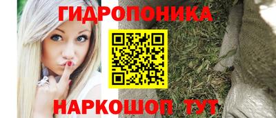 индика Бийск