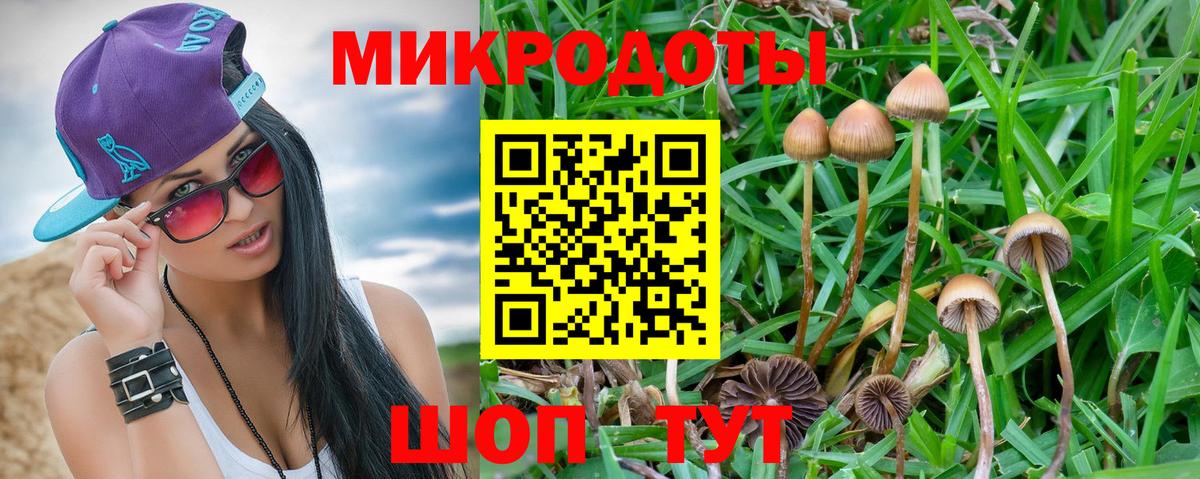 Галлюциногенные грибы ЛСД Беслан