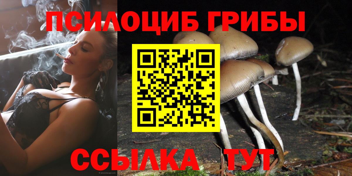 Беслан  Галлюциногенные грибы Psilocybine cubensis  Вход с VPN  Псилоцибиновые грибы Magic Shrooms 