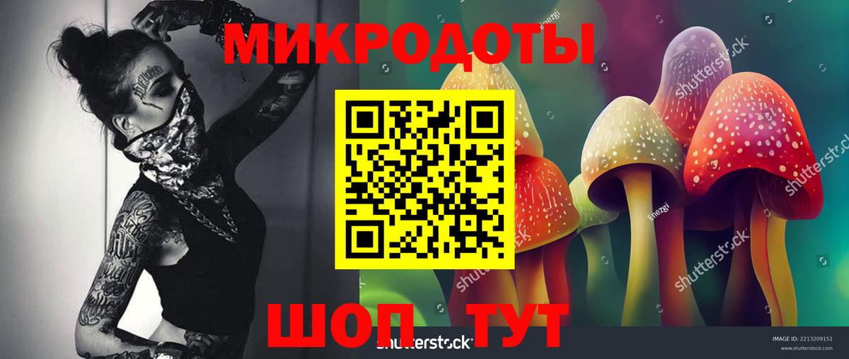 Псилоцибиновые грибы GOLDEN TEACHER  Вход с VPN  Беслан  Галлюциногенные грибы Psilocybe 