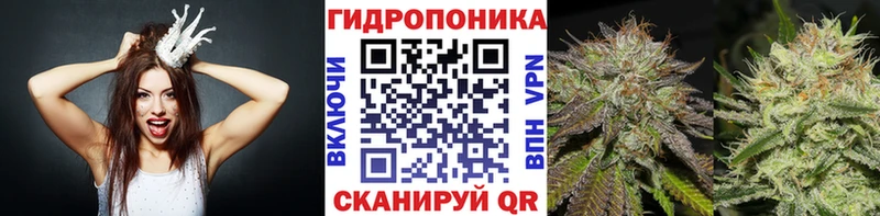 Канабис планчик  купить закладку  Беслан 